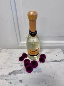 Canti Prosecco 0,2L