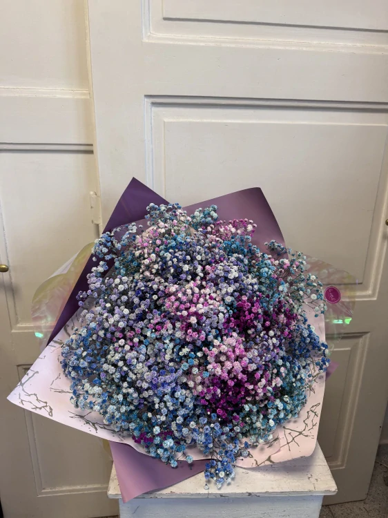 Pastelová gypsophila – Luxus