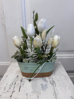 Tulipánové jaro